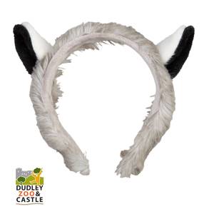 Ring Tailed Lemur Ears